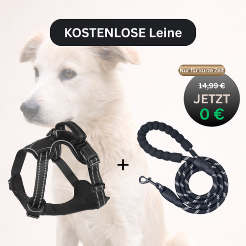 Anti-Zug Hundegeschirr mit Front-Clip inkl. GRATIS-LEINE