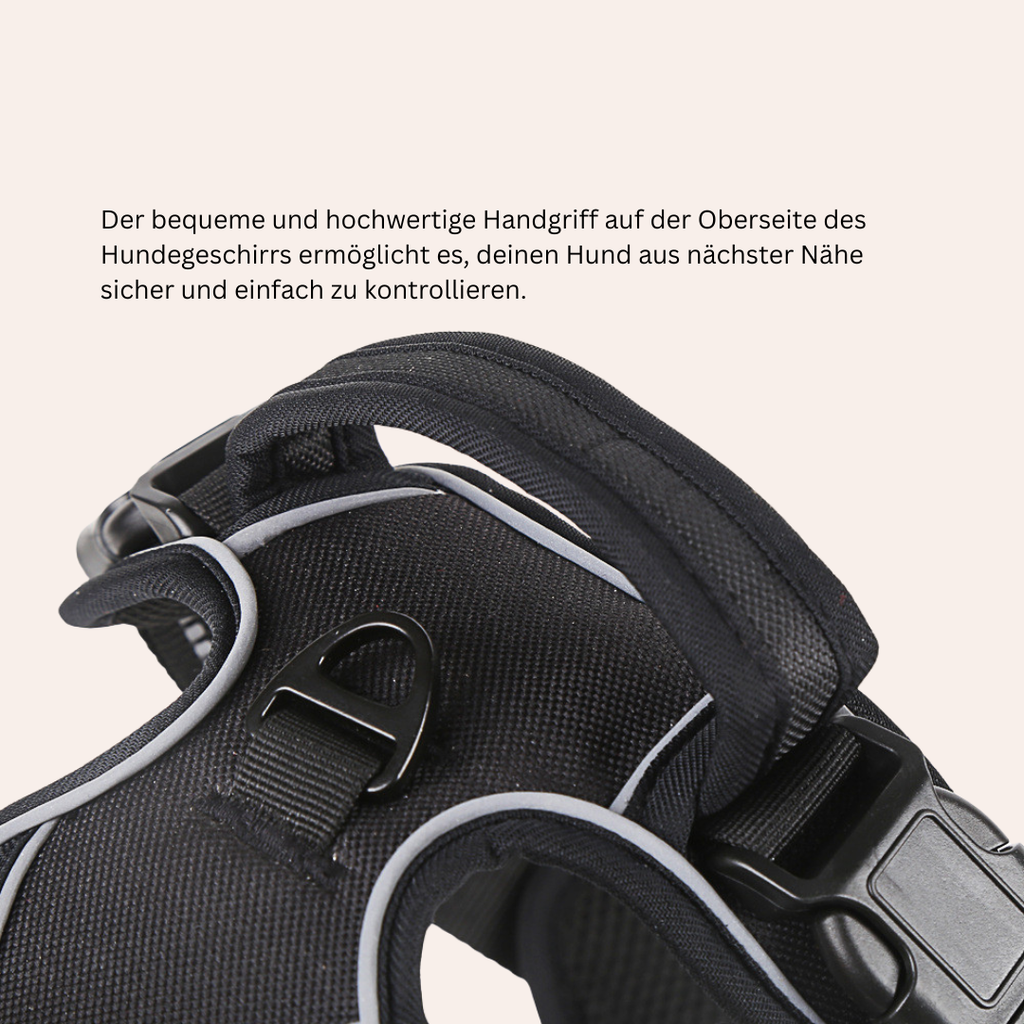 Anti-Zug Geschirr mit Frontclip