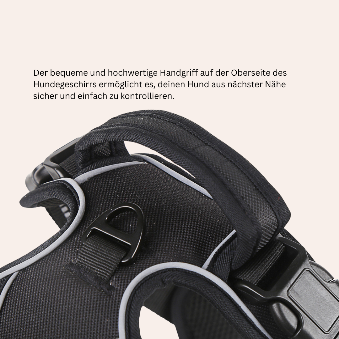 Anti-Zug Geschirr mit Frontclip